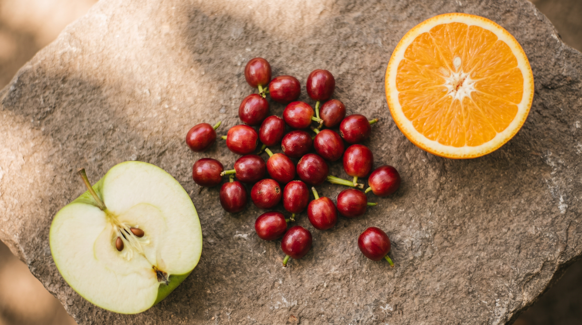 Ripe coffee cherries with a sliced green apple and orange, illustrating the fruit origin of coffee's acidity