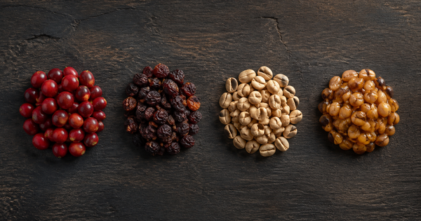 Natural, Washed, Honey, Wet-Hulled: How Coffee Processing Changes What's in Your Cup